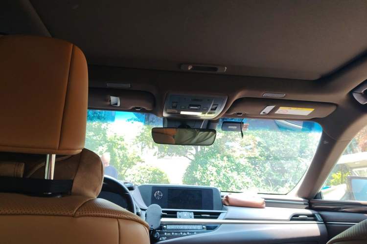 Used Lexus ES 2020 300h Premier Edition Headliner