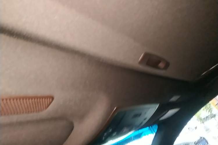 Used Lexus ES 2020 200 Excellence Edition Headliner