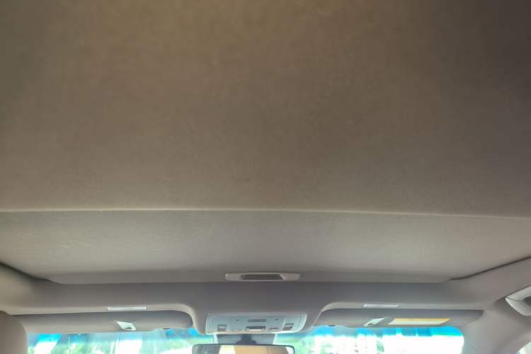 Used Lexus ES 2020 260 Excellence Edition Headliner