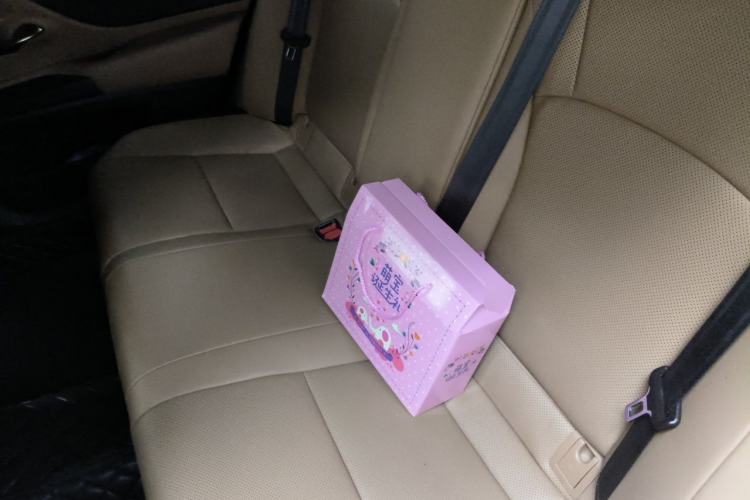 Used Lexus ES 2020 300h Premier Edition Left Rear Seat