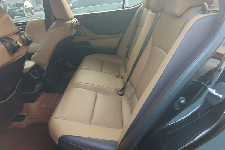 Used Lexus ES 2020 300h Premier Edition Left Rear Seat