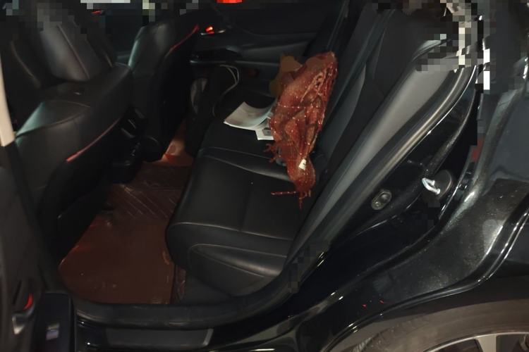 Used Lexus ES 2020 200 Excellence Edition Left Rear Seat