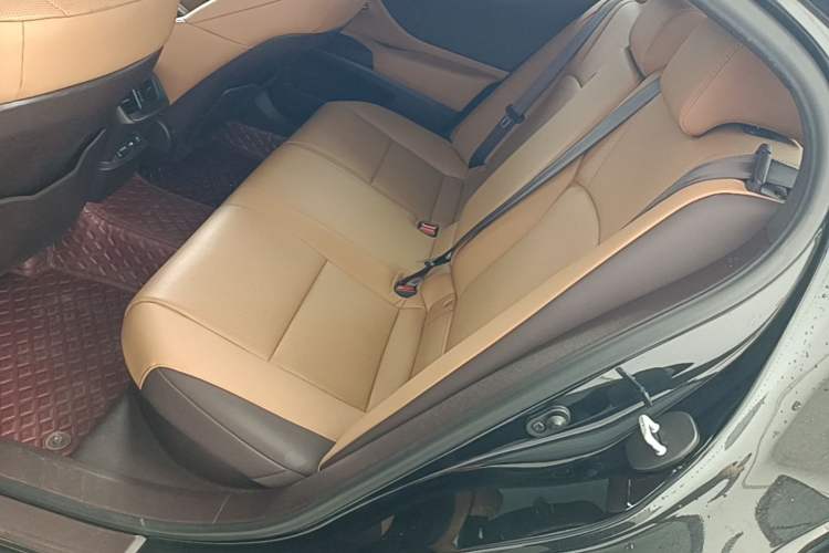 Used Lexus ES 2020 300h Premier Edition Left Rear Seat