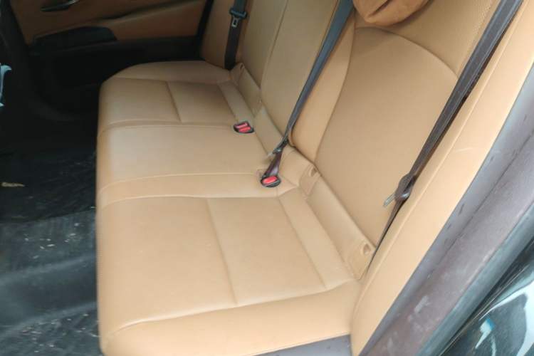 Used Lexus ES 2020 300h Premier Edition Left Rear Seat
