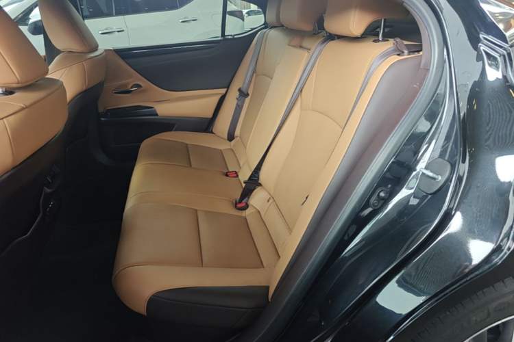Used Lexus ES 2020 300h Premier Edition Left Rear Seat