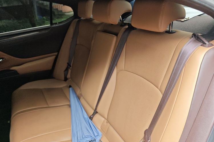 Used Lexus ES 2020 300h Premier Edition Left Rear Seat