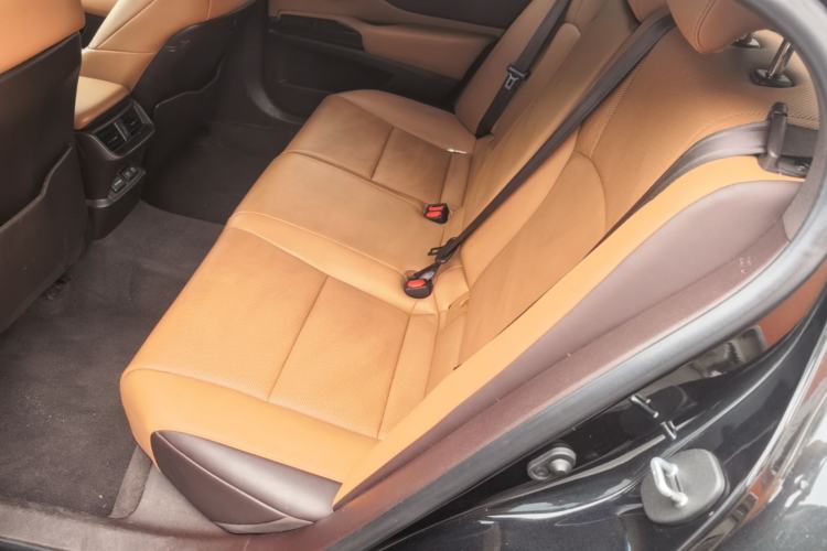 Used Lexus ES 2020 260 Excellence Edition Left Rear Seat