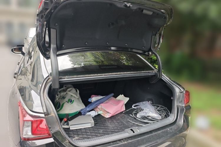 Used Lexus ES 2020 300h Premier Edition Trunk