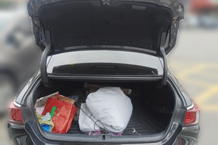 Used Lexus ES 2020 260 Excellence Edition Trunk
