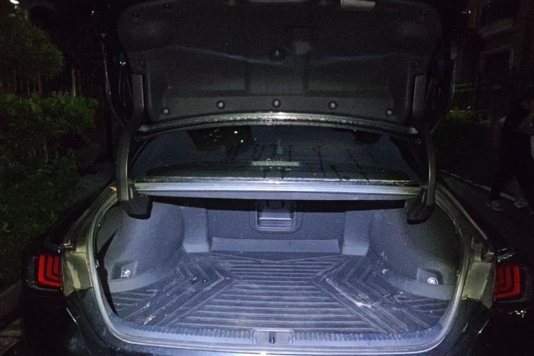 Used Lexus ES 2020 200 Excellence Edition Trunk