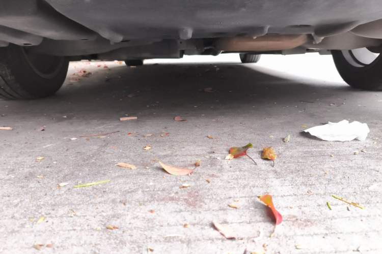 Used Lexus ES 2020 200 Excellence Edition Chassis Rear