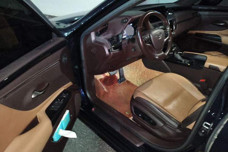 Used Lexus ES 2020 300h Premier Edition Driver Seat