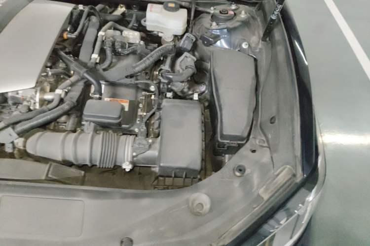 Used Lexus ES 2020 300h Premier Edition Engine Bay Left