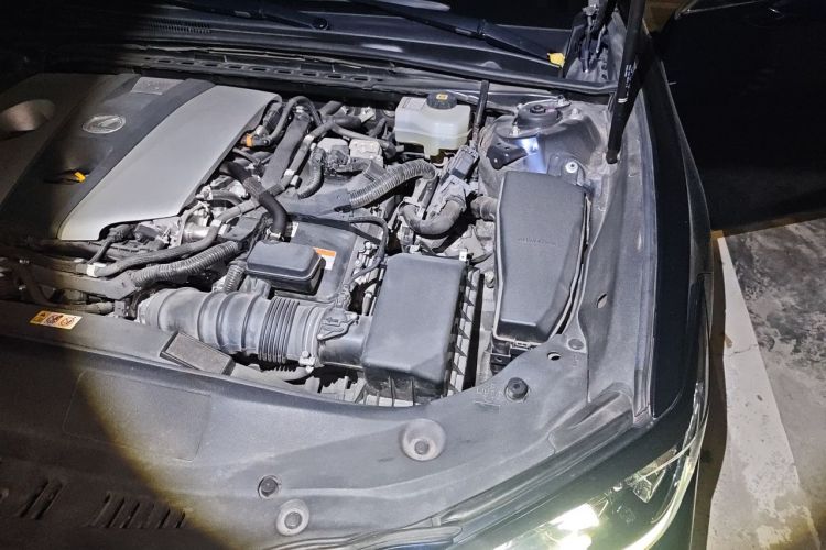 Used Lexus ES 2020 300h Premier Edition Engine Bay Left