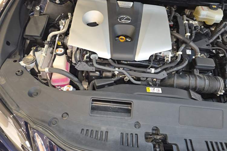 Used Lexus ES 2020 300h Premier Edition Engine Bay Right