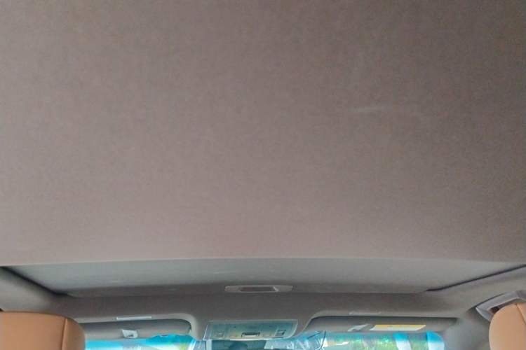 Used Lexus ES 2020 200 Excellence Edition Headliner