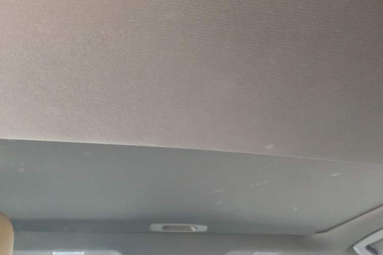 Used Lexus ES 2020 300h Deluxe Edition Headliner