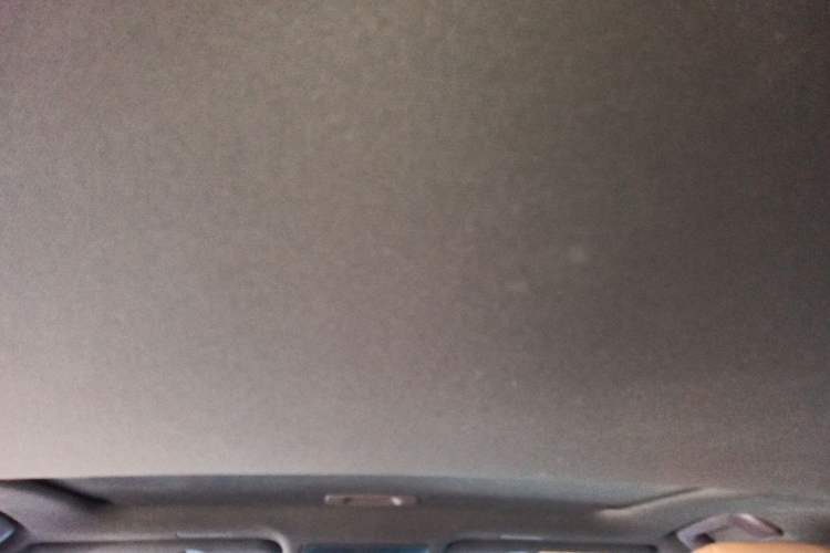 Used Lexus ES 2020 200 Excellence Edition Headliner