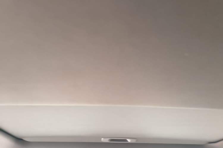 Used Lexus ES 2020 200 Excellence Edition Headliner