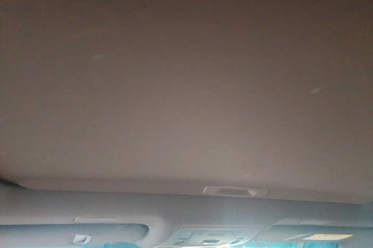 Used Lexus ES 2020 300h Deluxe Edition Headliner