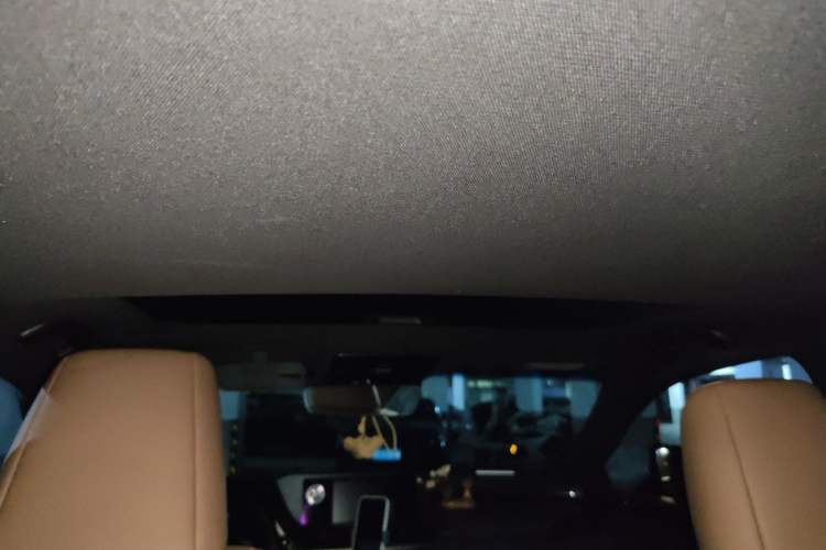 Used Lexus ES 2020 200 Excellence Edition Headliner