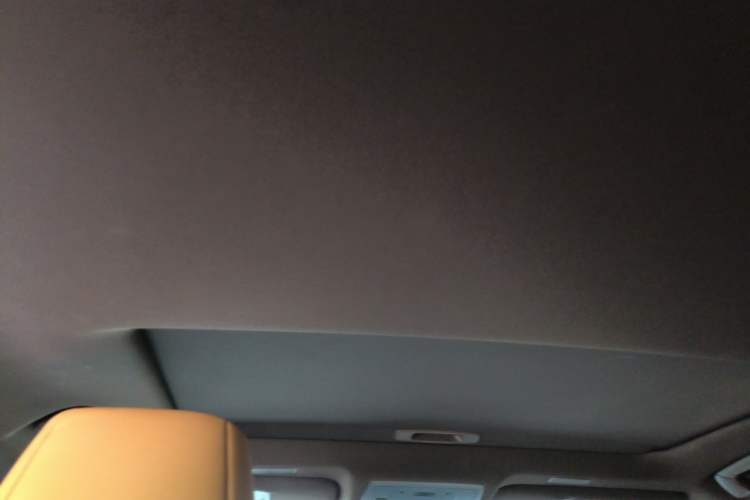Used Lexus ES 2020 300h Premier Edition Headliner
