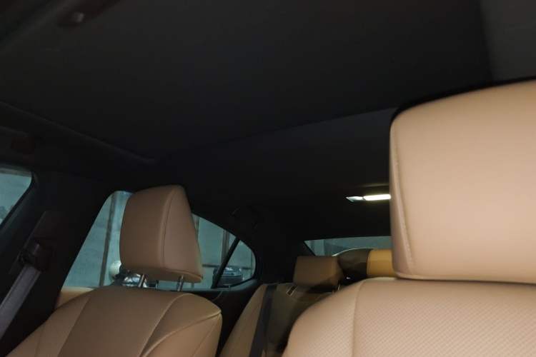 Used Lexus ES 2020 200 Excellence Edition Headliner
