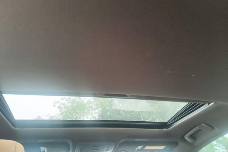 Used Lexus ES 2020 200 Excellence Edition Headliner