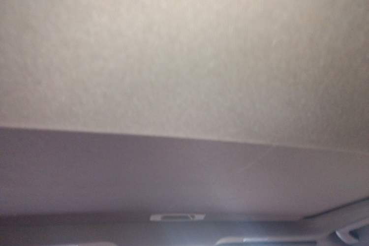 Used Lexus ES 2020 300h Premier Edition Headliner