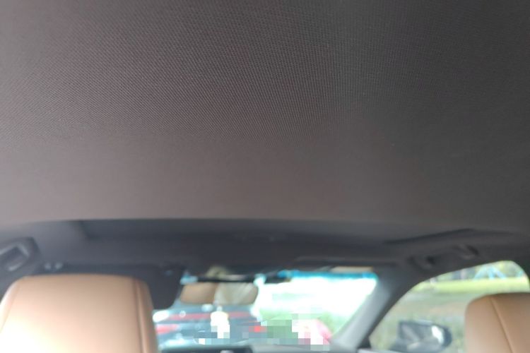 Used Lexus ES 2020 300h Premier Edition Headliner