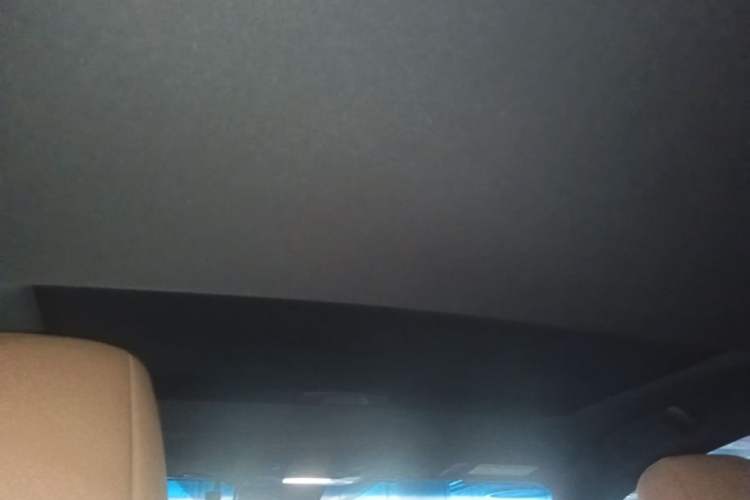 Used Lexus ES 2020 260 Excellence Edition Headliner