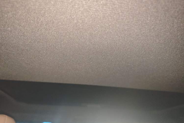 Used Lexus ES 2020 200 Excellence Edition Headliner