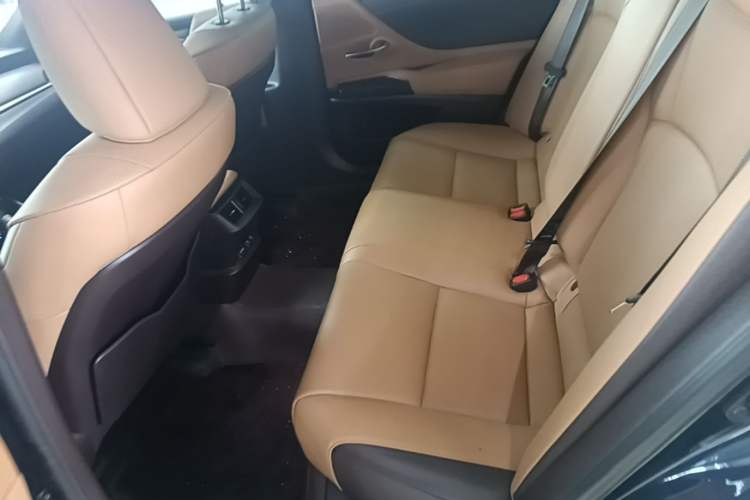 Used Lexus ES 2020 200 Excellence Edition Left Rear Seat