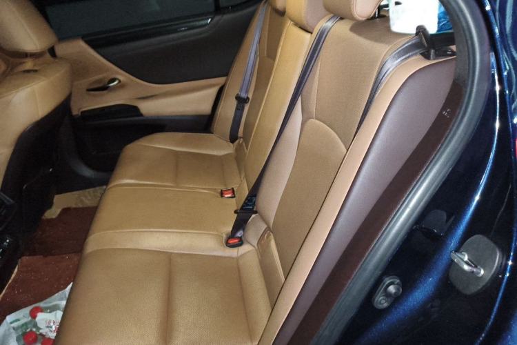 Used Lexus ES 2020 300h Premier Edition Left Rear Seat