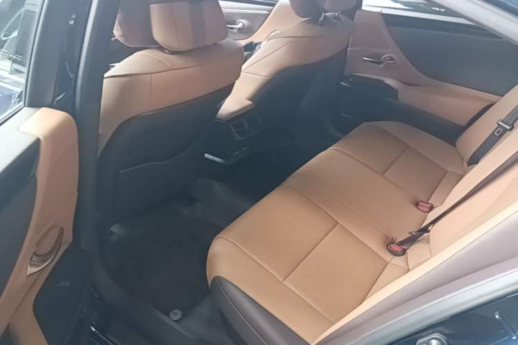 Used Lexus ES 2020 300h Premier Edition Left Rear Seat