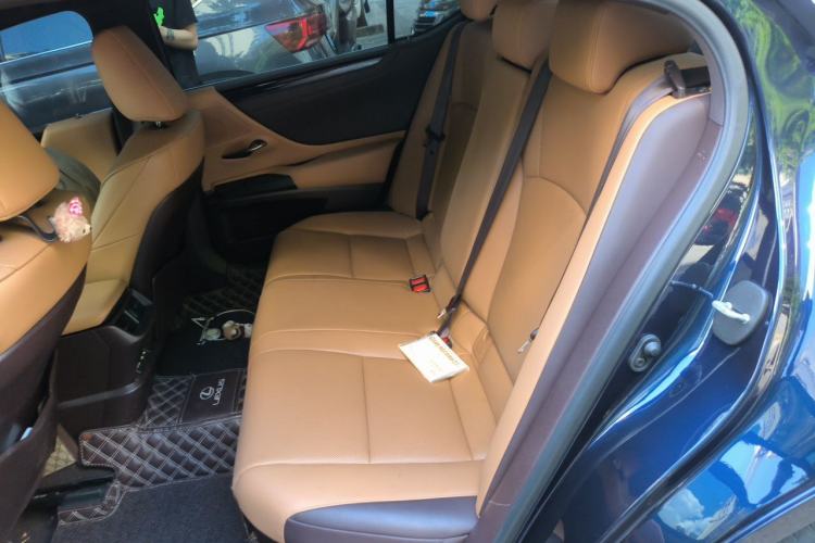 Used Lexus ES 2020 300h Premier Edition Left Rear Seat