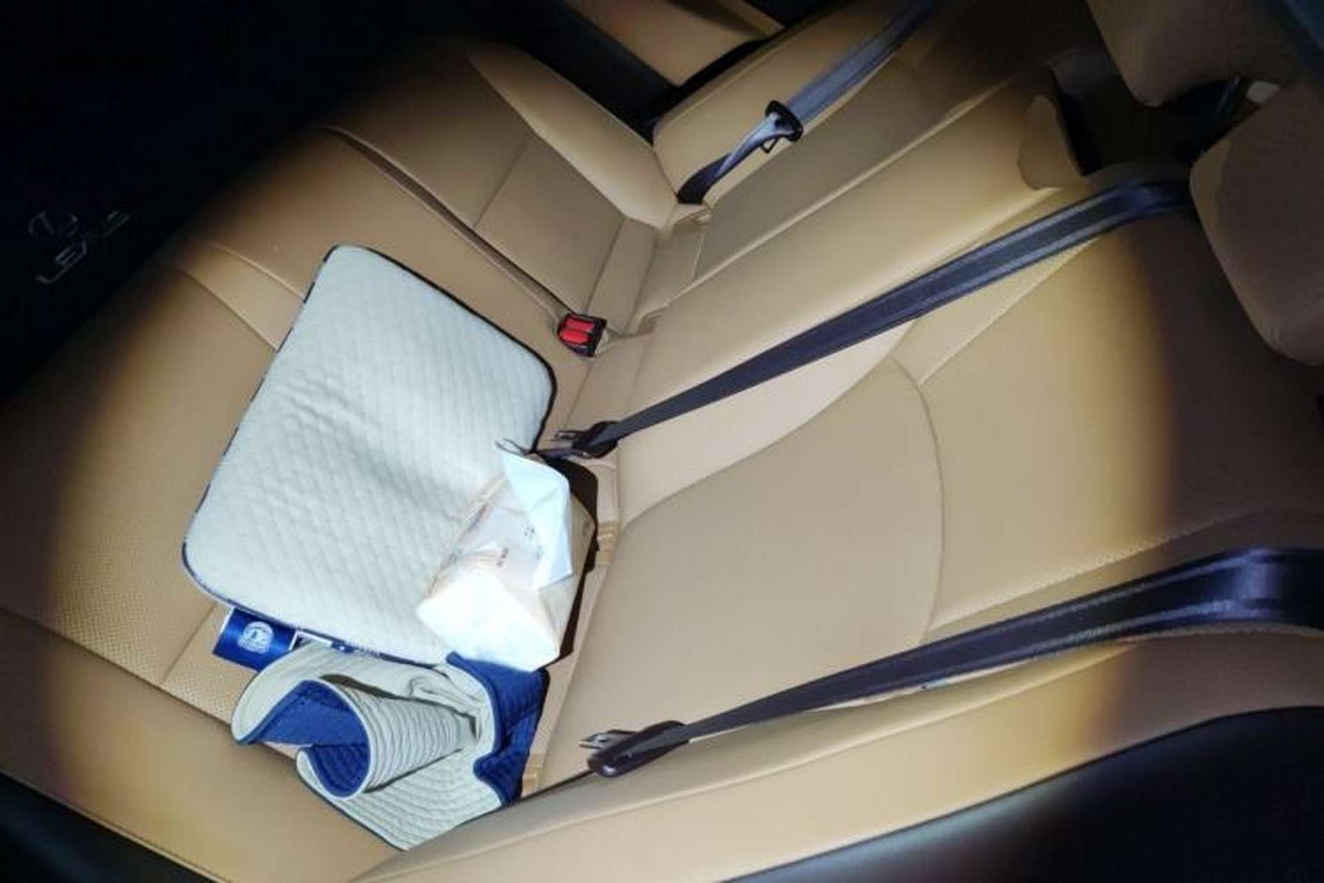 Used Lexus ES 2020 200 Excellence Edition Left Rear Seat