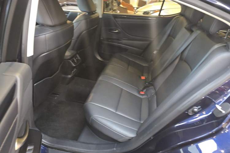 Used Lexus ES 2020 300h Premier Edition Left Rear Seat
