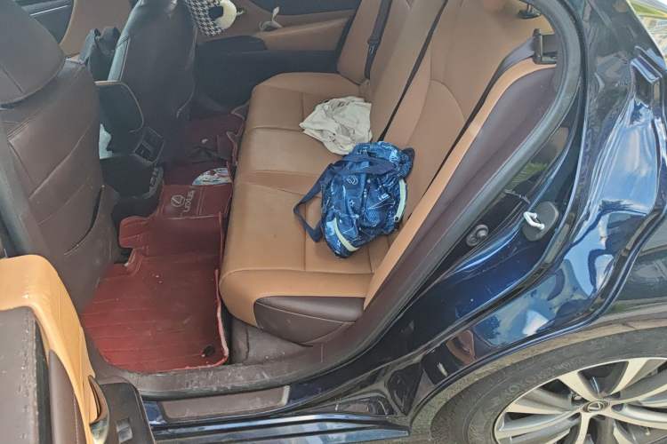 Used Lexus ES 2020 200 Excellence Edition Left Rear Seat