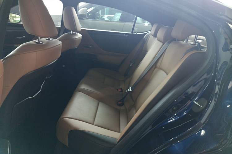 Used Lexus ES 2020 260 Excellence Edition Left Rear Seat