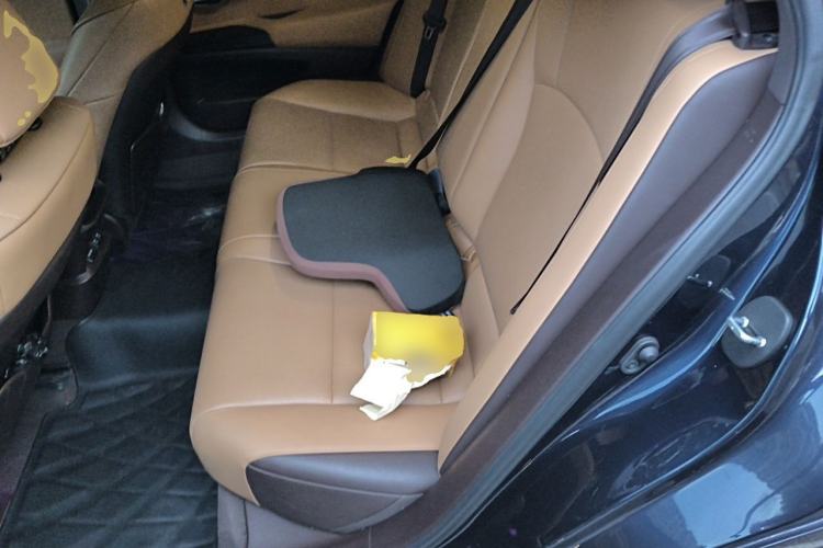 Used Lexus ES 2020 200 Excellence Edition Left Rear Seat