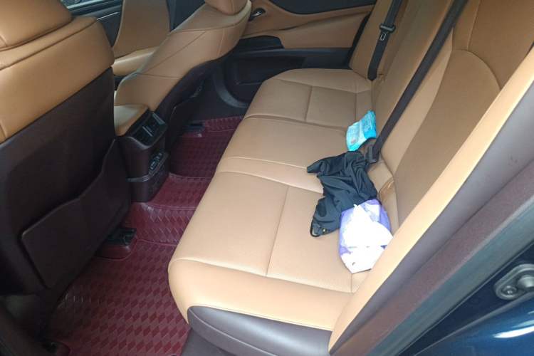 Used Lexus ES 2020 300h Premier Edition Left Rear Seat