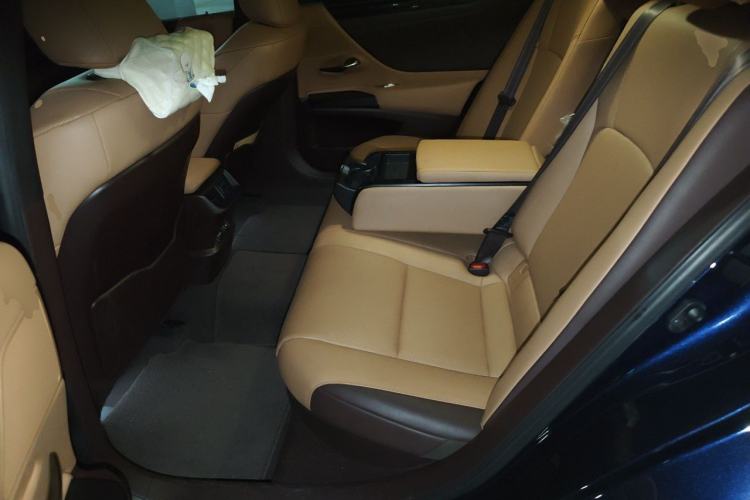 Used Lexus ES 2020 300h Premier Edition Left Rear Seat