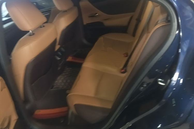 Used Lexus ES 2020 260 Excellence Edition Left Rear Seat