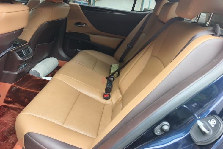 Used Lexus ES 2020 260 Excellence Edition Left Rear Seat