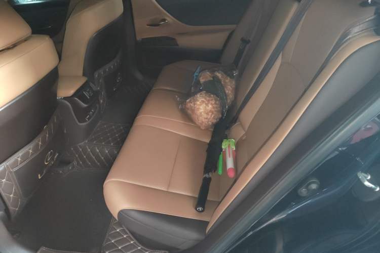 Used Lexus ES 2020 300h Premier Edition Left Rear Seat