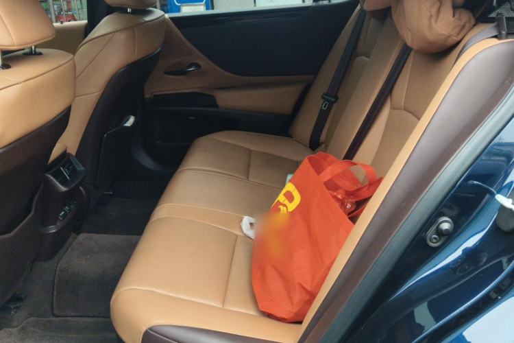 Used Lexus ES 2020 300h Premier Edition Left Rear Seat