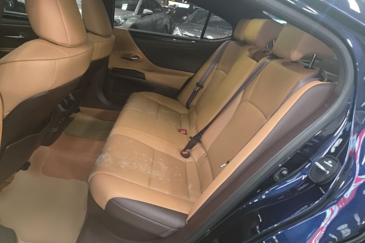 Used Lexus ES 2020 300h Premier Edition Left Rear Seat