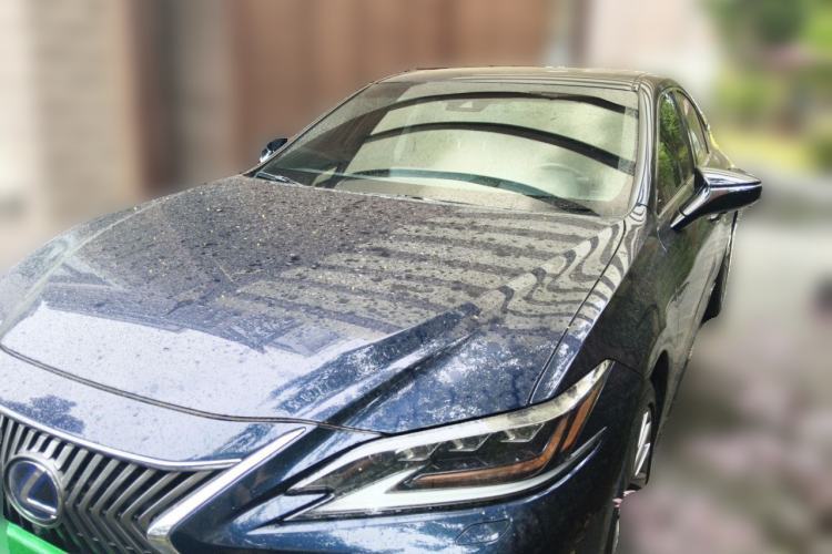 Used Lexus ES 2020 300h Executive Edition Guazi used car, China used car export, Used car for sale, Used  cars, Cheapest cars for sale