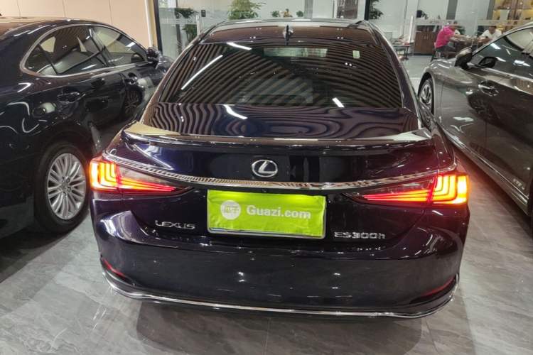 Used Lexus ES 2020 300h Deluxe Edition Rear